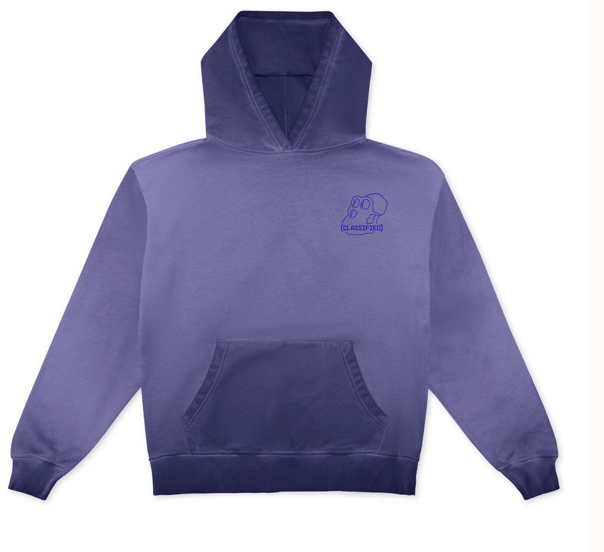 Classified Hoodie